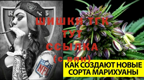 индика Лабытнанги