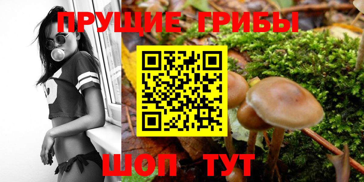 Белорецк  Галлюциногенные грибы Magic Shrooms  Вход с VPN 