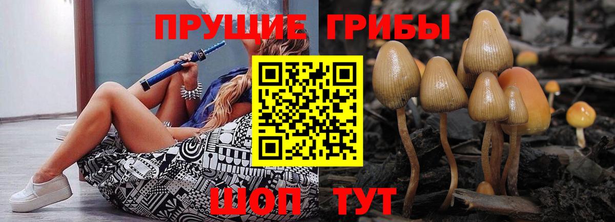 Псилоцибиновые грибы ЛСД Белорецк